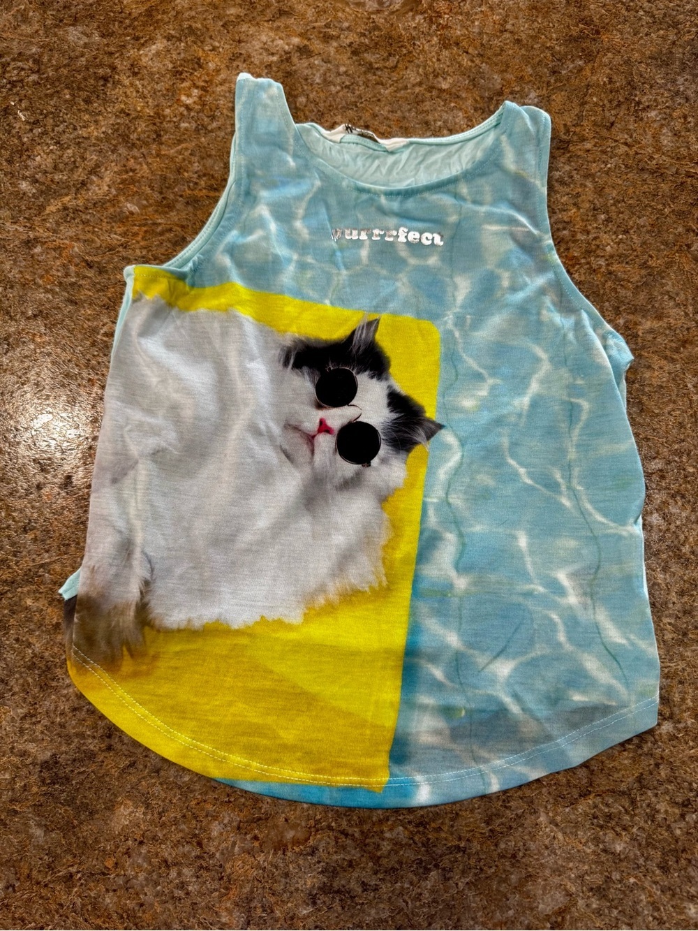 H&M Girls Size 10–12 Aqua “Purrfect” Cat Graphic Tank Top